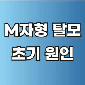 m자형 탈모 초기 원인