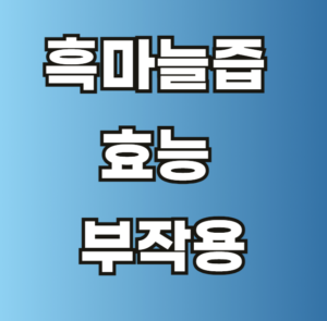 흑마늘즙 효능 부작용 진액
