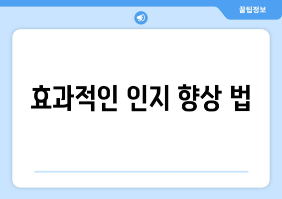 효과적인 인지 향상 법