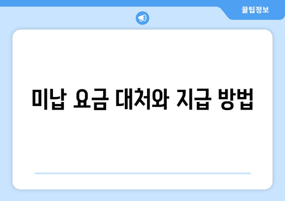 미납 요금 대처와 지급 방법