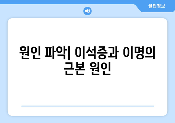 원인 파악| 이석증과 이명의 근본 원인