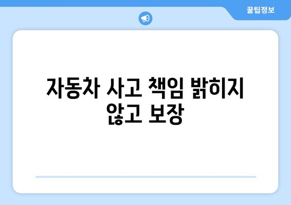 자동차 사고 책임 밝히지 않고 보장