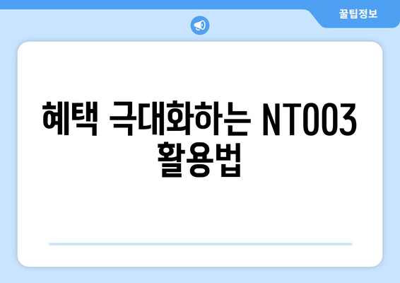 혜택 극대화하는 NT003 활용법