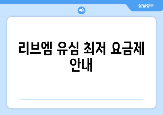 리브엠 유심 최저 요금제 안내