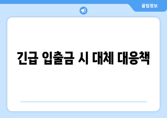 긴급 입출금 시 대체 대응책