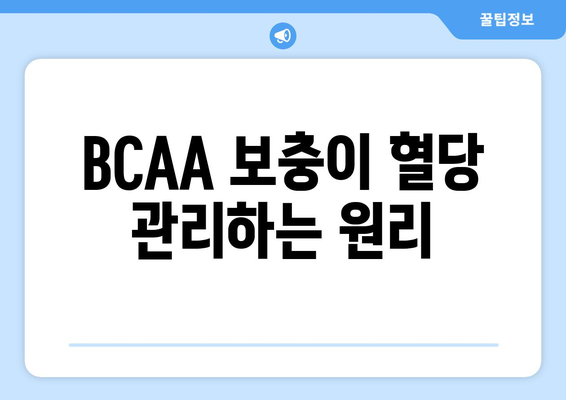 BCAA 보충이 혈당 관리하는 원리