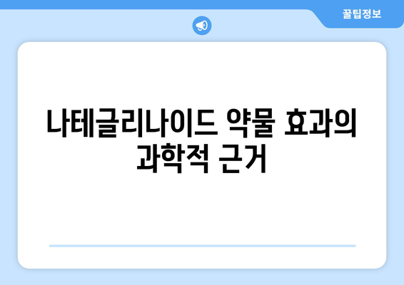 나테글리나이드 약물 효과의 과학적 근거