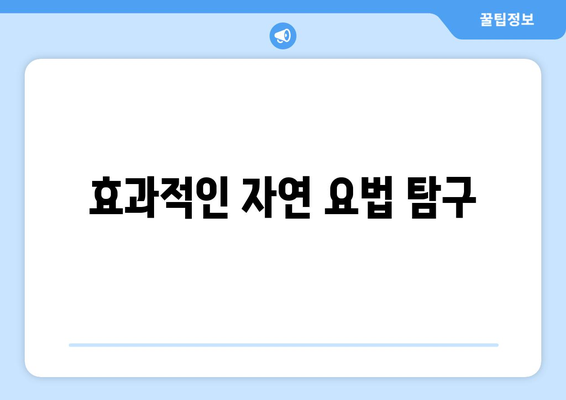 효과적인 자연 요법 탐구