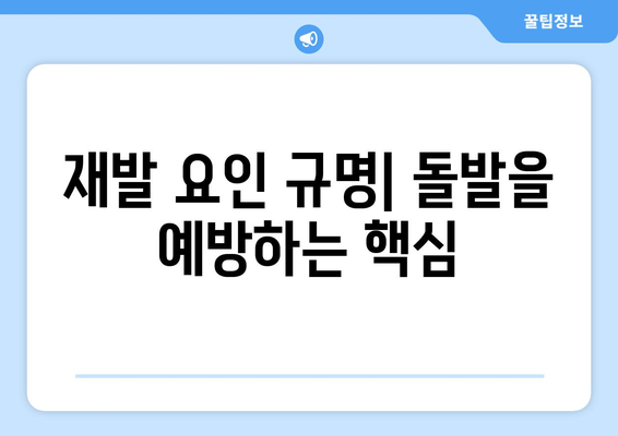 재발 요인 규명| 돌발을 예방하는 핵심