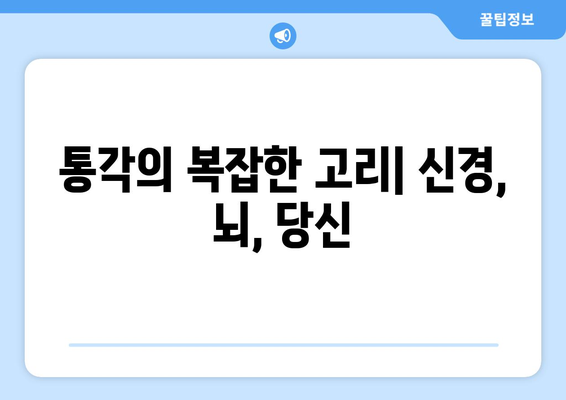 통각의 복잡한 고리| 신경, 뇌, 당신