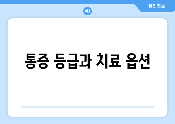 통증 등급과 치료 옵션