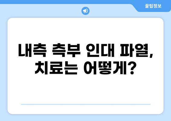 무릎 안쪽 통증, 내측 측부 인대 파열 의심되시나요? 증상과 치료법 알아보기 | 무릎 통증, 내측 측부 인대, 운동 부상