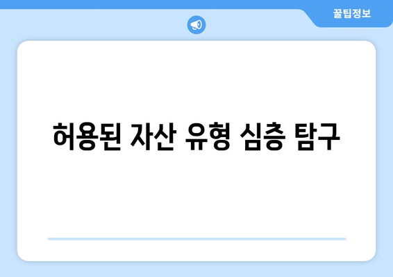 허용된 자산 유형 심층 탐구