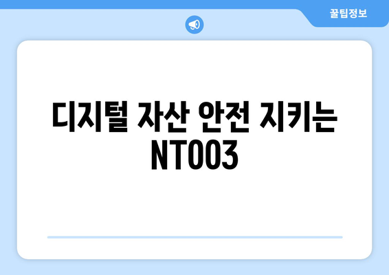 디지털 자산 안전 지키는 NT003