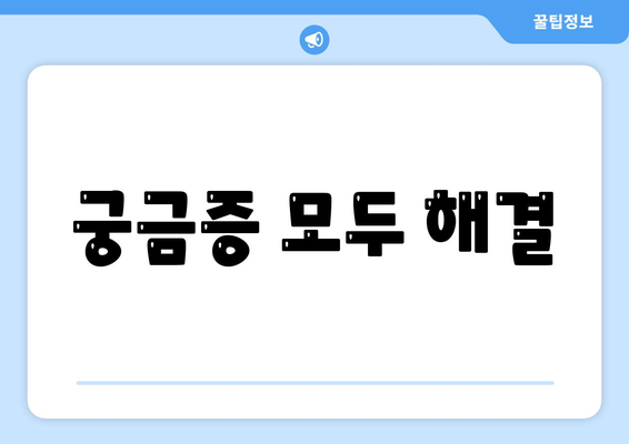 궁금증 모두 해결