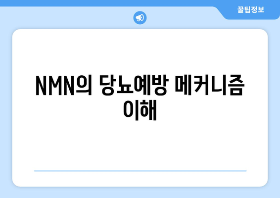 NMN의 당뇨예방 메커니즘 이해