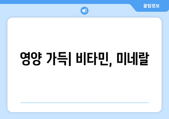 영양 가득| 비타민, 미네랄