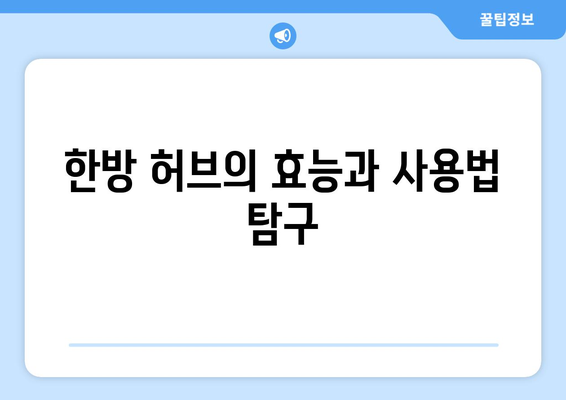 한방 허브의 효능과 사용법 탐구