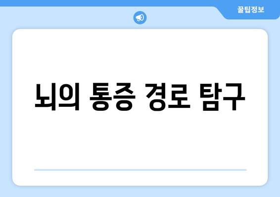 뇌의 통증 경로 탐구