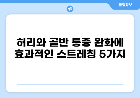 허리 골반 통증 완화를 위한 운동 가이드 | 허리 통증, 골반 통증, 스트레칭, 근력 운동