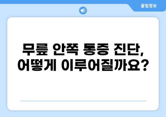 무릎 안쪽 통증의 원인| 무엇이 문제일까요? | 무릎 통증, 내측 통증, 진단, 치료
