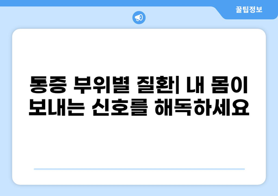 통증 부위별 질환| 내 몸이 보내는 신호, 제대로 알아보기 | 통증 원인, 증상, 진단, 치료