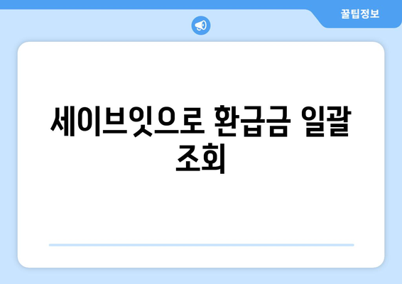 세이브잇으로 환급금 일괄 조회