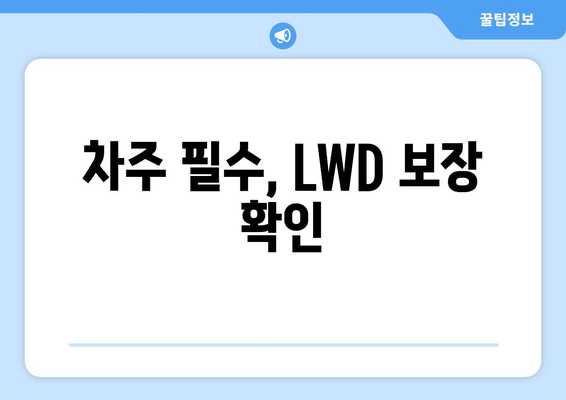 차주 필수, LWD 보장 확인