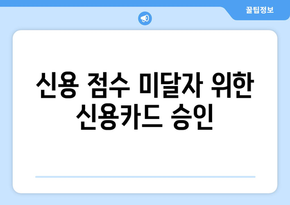신용 점수 미달자 위한 신용카드 승인