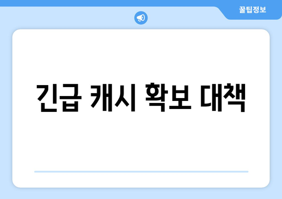 긴급 캐시 확보 대책