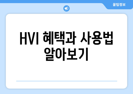 HVI 혜택과 사용법 알아보기