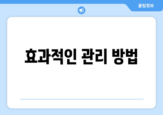 효과적인 관리 방법