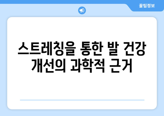 스트레칭을 통한 발 건강 개선의 과학적 근거