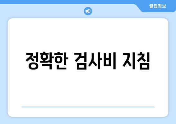 정확한 검사비 지침