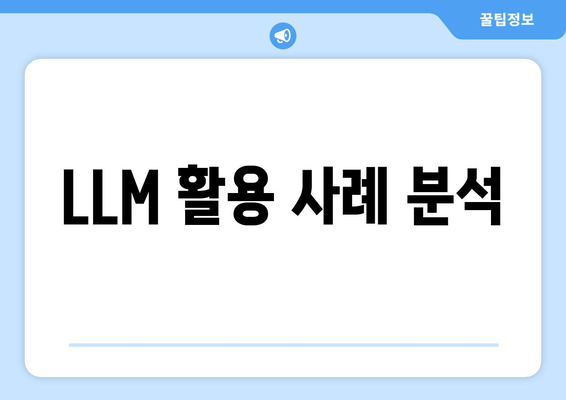 LLM 활용 사례 분석