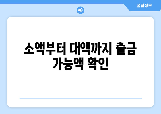 소액부터 대액까지 출금 가능액 확인