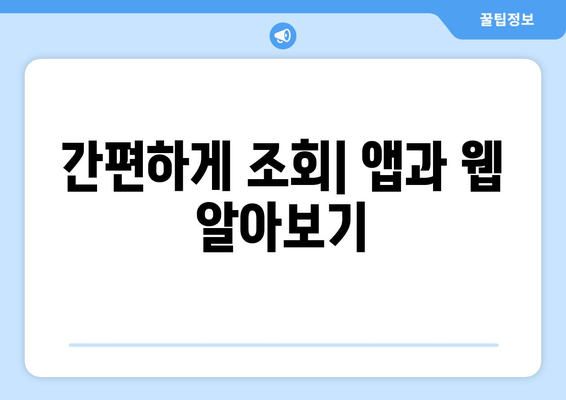 간편하게 조회| 앱과 웹 알아보기