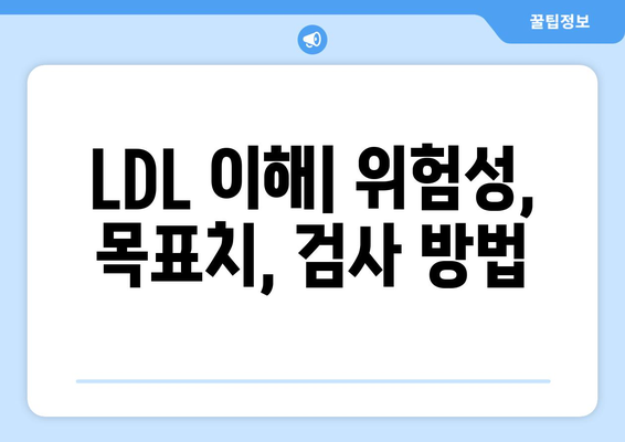 LDL 이해| 위험성, 목표치, 검사 방법