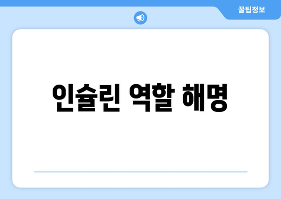 인슐린 역할 해명