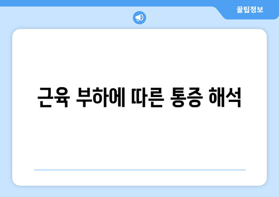 근육 부하에 따른 통증 해석