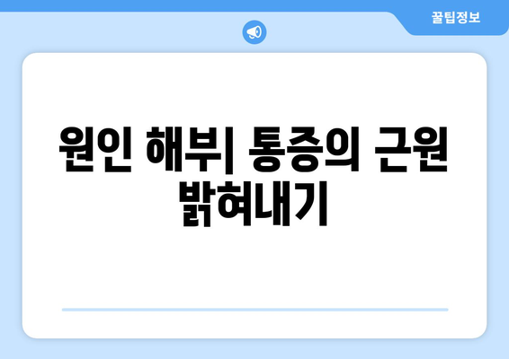 원인 해부| 통증의 근원 밝혀내기