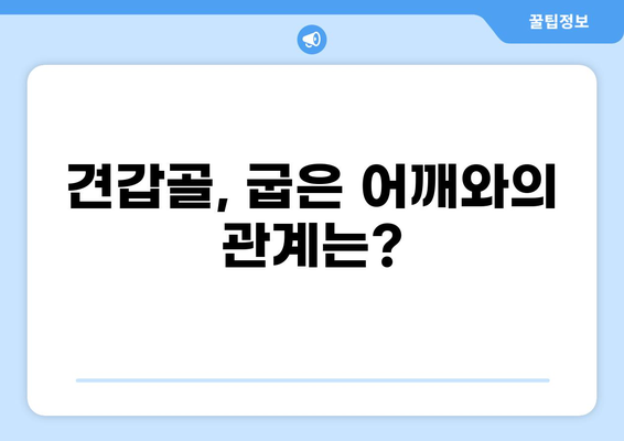 어깨 90도 통증, 원인과 해결 방안 | 어깨 통증, 회전근 개 파열, 견갑골, 굽은 어깨