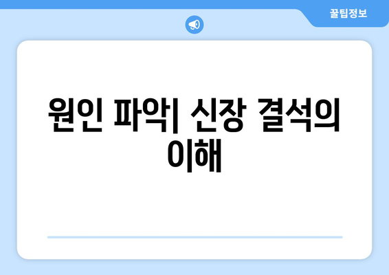 원인 파악| 신장 결석의 이해