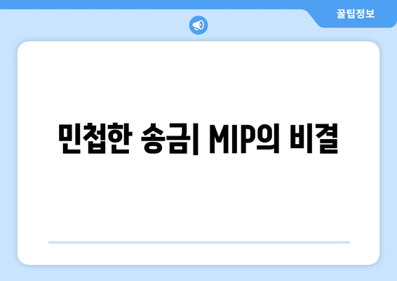민첩한 송금| MIP의 비결