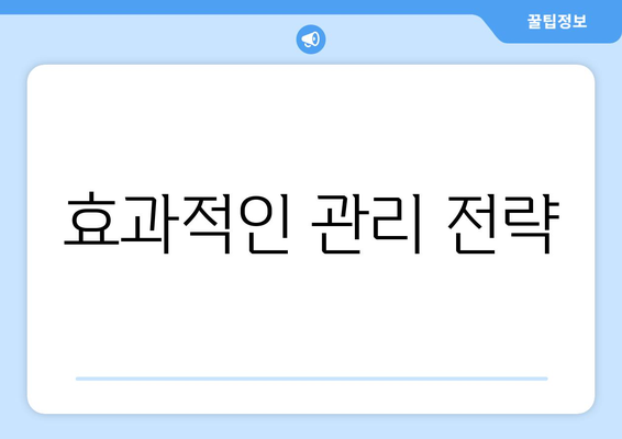 효과적인 관리 전략