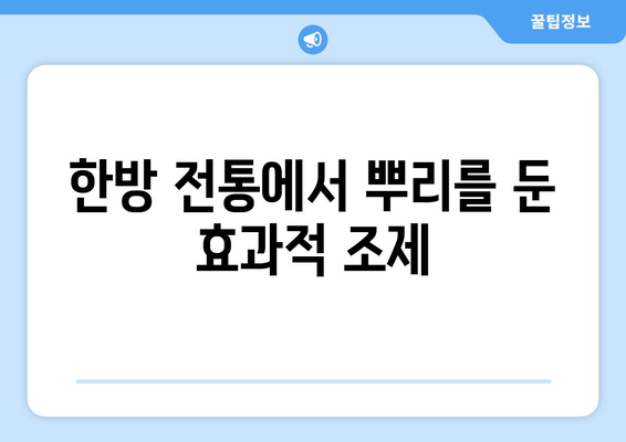 한방 전통에서 뿌리를 둔 효과적 조제