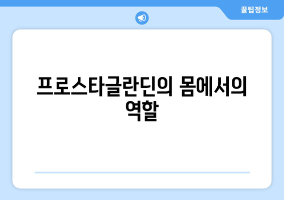 프로스타글란딘의 몸에서의 역할