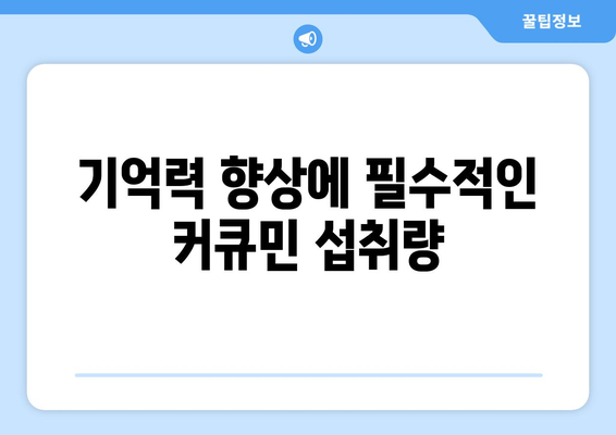 기억력 향상에 필수적인 커큐민 섭취량