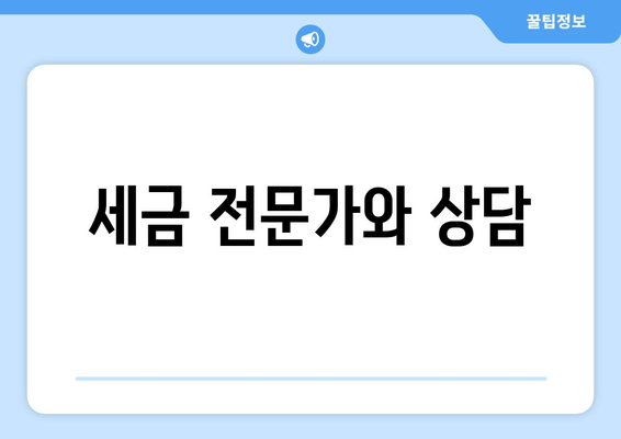 세금 전문가와 상담