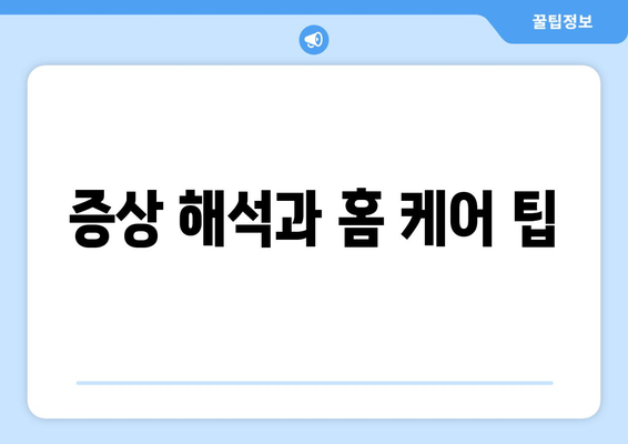 증상 해석과 홈 케어 팁